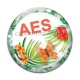 Cabochon Verre - AES