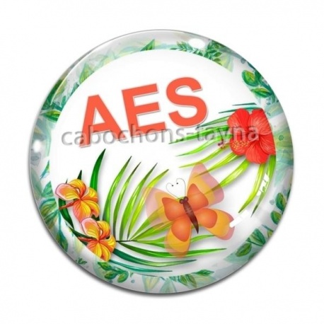 Cabochon Verre - AES