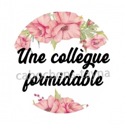 une collègue formidable