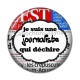 Cabochon Résine - je suis une journaliste qui déchire