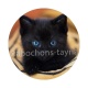 chat chaton