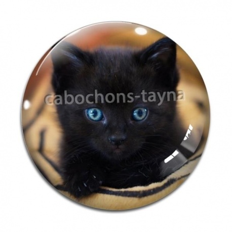 Cabochon Verre - chat chaton