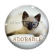 Cabochon Verre - chat adorable