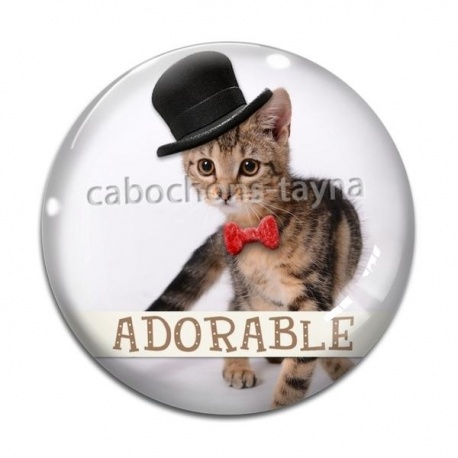 Cabochon Verre - chat adorable