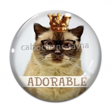 Cabochon Verre - chat adorable