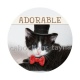 chat adorable