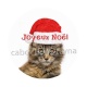 chat joyeux noël