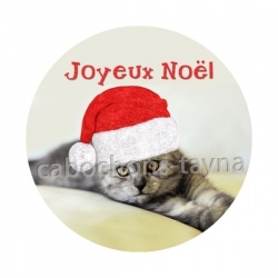 chat joyeux noël
