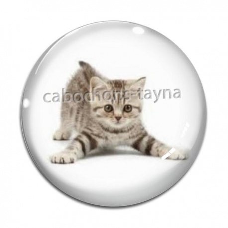 Cabochon Verre - chaton