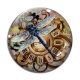 Cabochon Verre - libellule Steampunk
