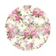 fleurs les roses