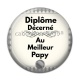 Cabochon Résine - diplôme décerné au meilleur papy