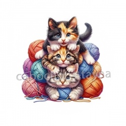 chat