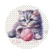 chaton