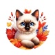 chaton