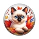 Cabochon Résine - chaton