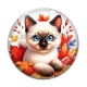 Cabochon Verre - chaton