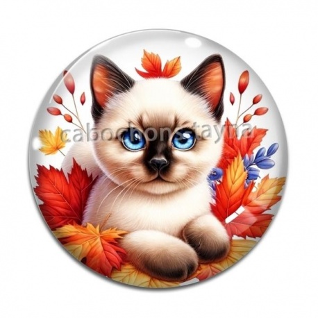 Cabochon Verre - chaton