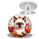 Trépied - chaton