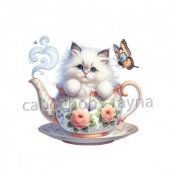 chaton