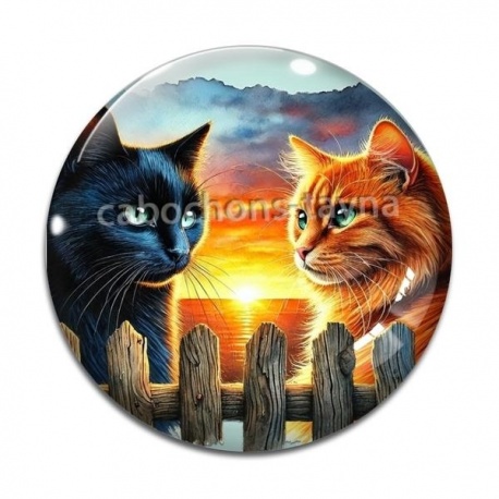 Cabochon Verre - chat