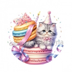 chaton