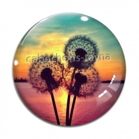 Cabochon Verre - fleur de pissenlit