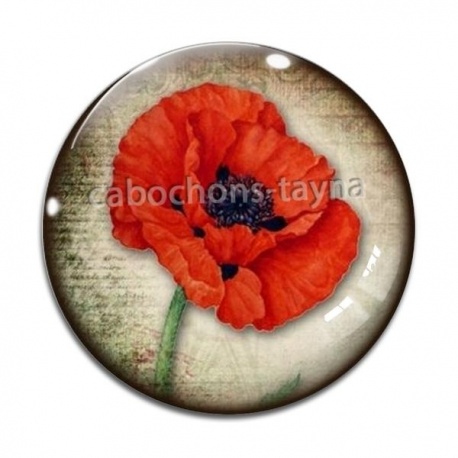 Cabochon Verre - coquelicot