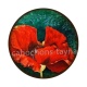 coquelicot