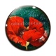 Cabochon Verre - coquelicot