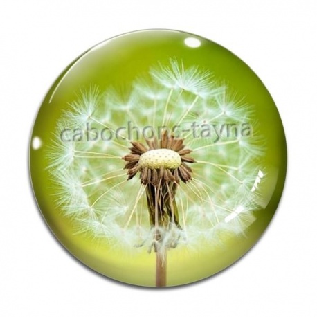 Cabochon Verre - pissenlit