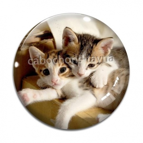 Cabochon Verre - chat