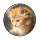 Cabochon Résine - chaton