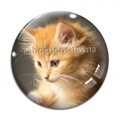 Cabochon Verre - chaton
