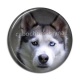 Cabochon Résine - chien