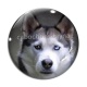 Cabochon Verre - chien
