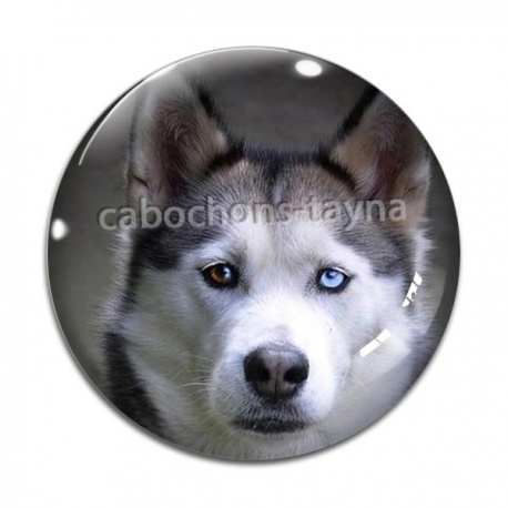Cabochon Verre - chien