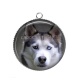 Pendentif Cabochon Argent - chien