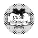 super secrétaire