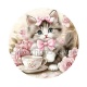 chat 