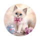 chaton