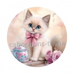 chaton