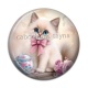 Cabochon Résine - chaton