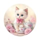chaton