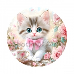 chaton