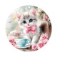chaton