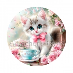 chaton