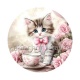 chaton
