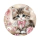 chaton