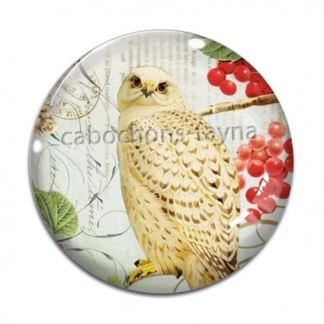 Cabochon Verre - chouette